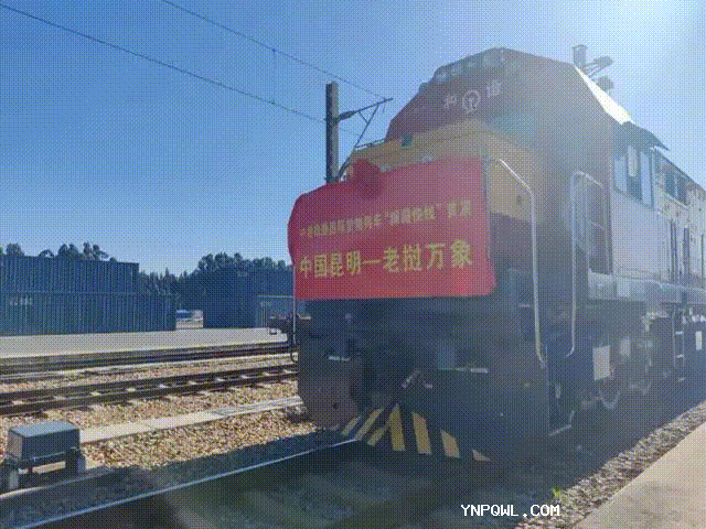 中老鐵路入境貨物快速增長